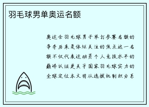 羽毛球男单奥运名额