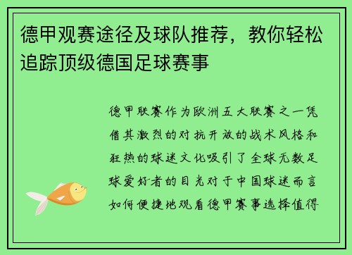 德甲观赛途径及球队推荐，教你轻松追踪顶级德国足球赛事